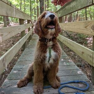 Meet your Posher, Kyle